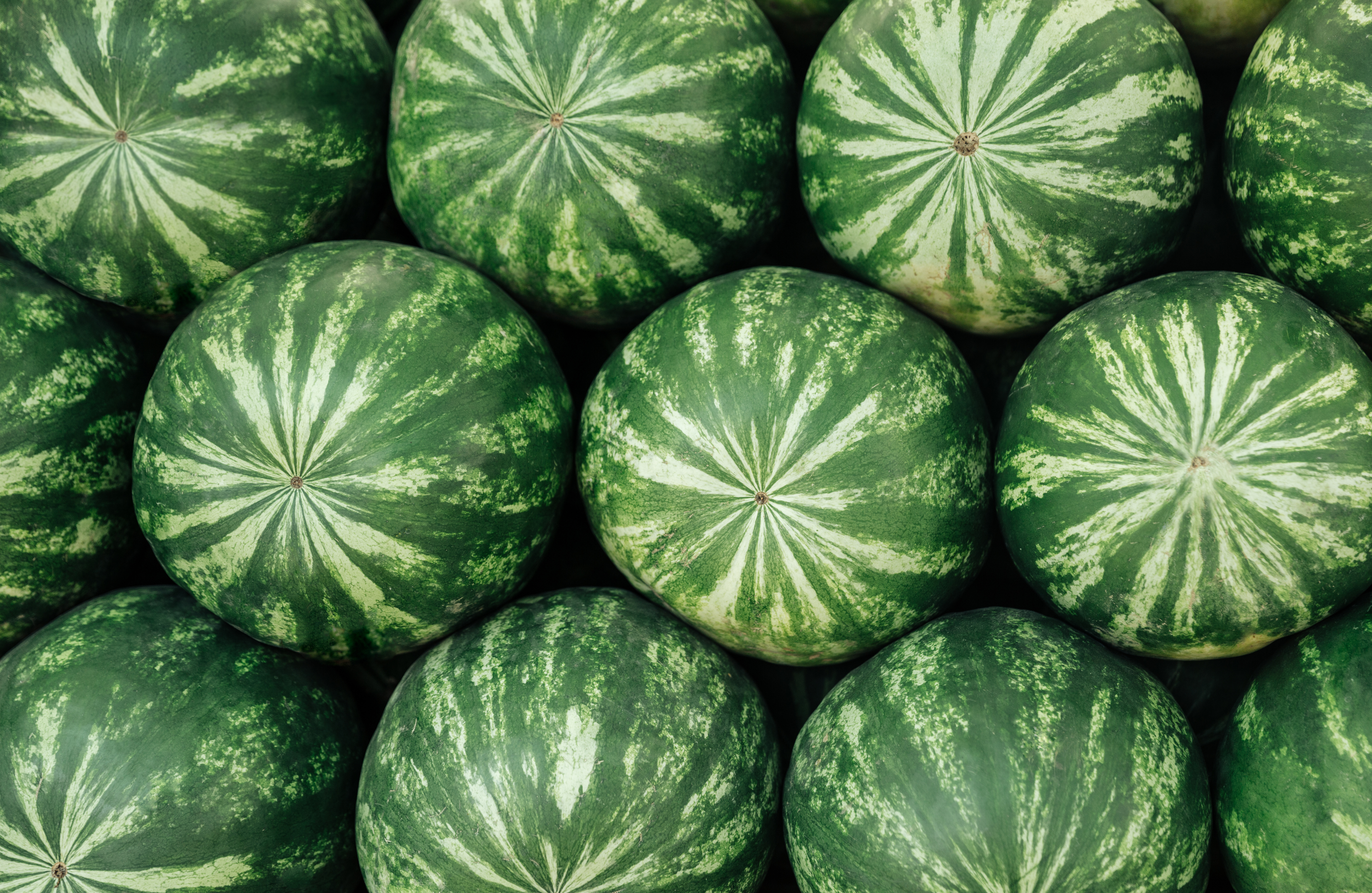 pile-of-watermelons-2021-08-26-18-19-55-utc